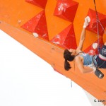 Cham2012 demi-29
