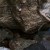 Daniel Woods et Paul Robinson viennent à bout de « The Ice Knife », 8c bloc