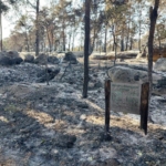 Incendies à Fontainebleau : où en est-on, une semaine après ?