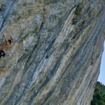 Mattéo Marobin raconte son incroyable aventure dans “Jungle Boogie” 9b : « Je voulais ajouter mon nom à côté de ces légendes »